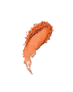 Blush Poudre